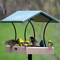 Fly-Through Bird Feeders